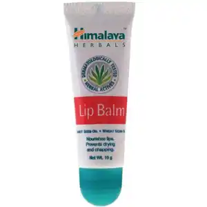 Himalaya Lip Balm 10gm Wp