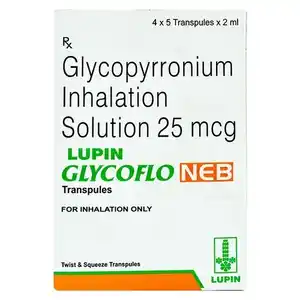 Glycoflo Neb 25mcg/2ml Transpules 2ml