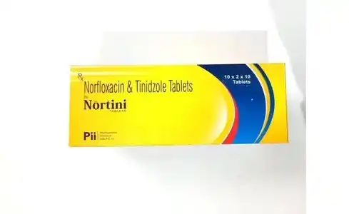 Nortini Tablet