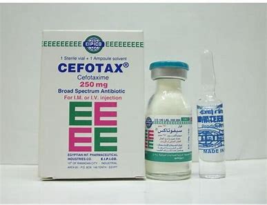 Cefotax 250mg Injection