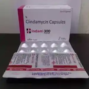 Indam 300mg Capsule