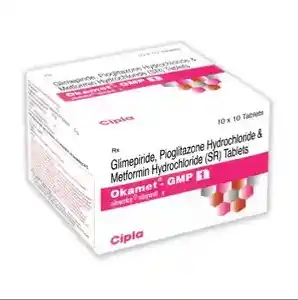 Okamet GMP Tablet SR 10s