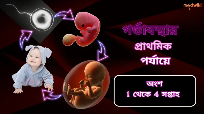 গর্ভাবস্থার প্রাথমিক পর্যায়ে পরিবর্তন!