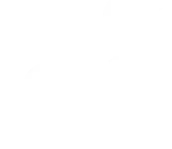 curve-white-