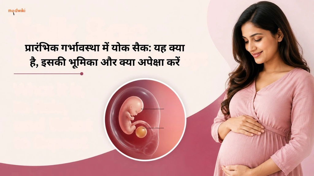 प्रारंभिक गर्भावस्था में योक सैक: यह क्या है, इसकी भूमिका और क्या अपेक्षा करें(Yolk Sac in Early Pregnancy explained in Hindi)