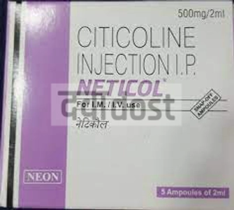 Neticol 500mg Injection 2ml