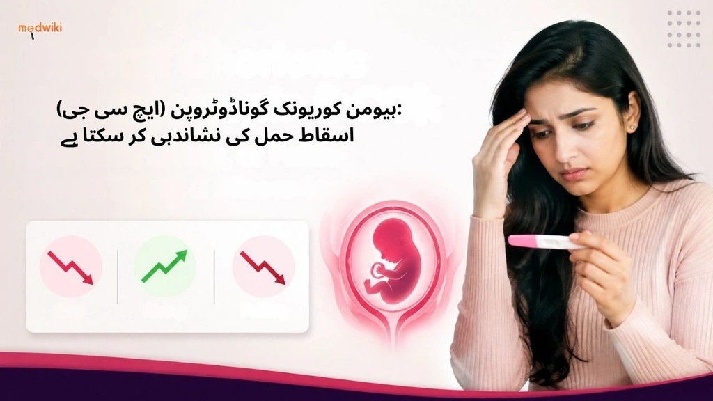 ہیومن کوریونک گوناڈوٹروپن (ایچ سی جی): اسقاط حمل کی نشاندہی کر سکتا ہے (Human Chorionic Gonadotropin explained in Urdu)