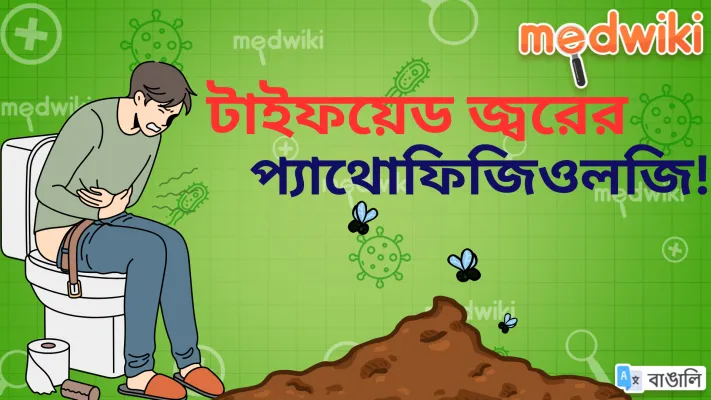 টাইফয়েড জ্বরের প্যাথোফিজিওলজি!