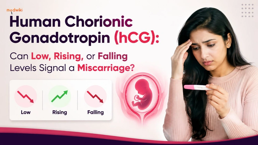 Human Chorionic Gonadotropin (hCG): Can Low, Rising, or Falling Levels Signal a Miscarriage