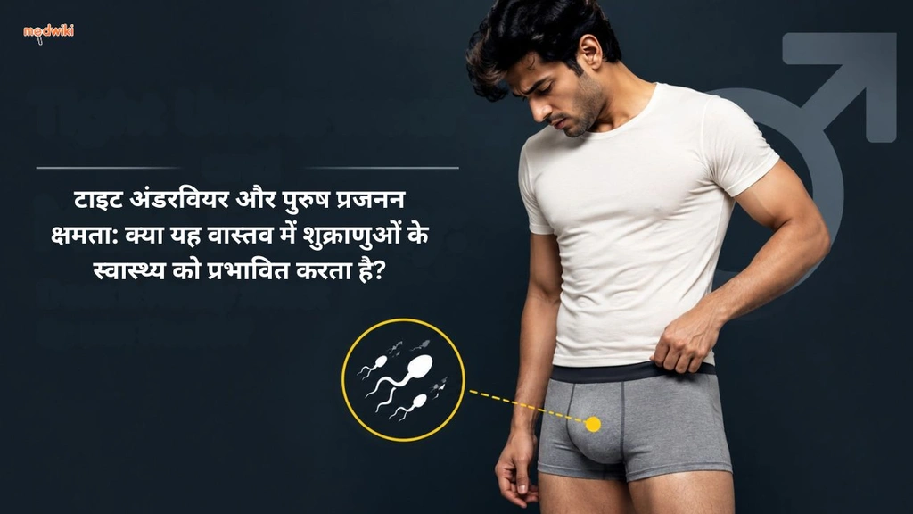 टाइट अंडरवियर और पुरुष प्रजनन क्षमता: क्या यह वास्तव में शुक्राणुओं के स्वास्थ्य को प्रभावित करता है?(Tight Underwear and Male Fertility explained in Hindi)
