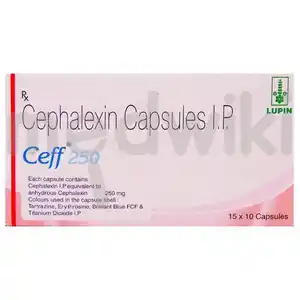 Ceff 250mg Capsule 10s