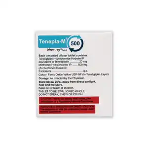 Tenepla M 500mg/20mg Tablet SR