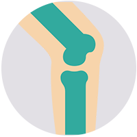 Orthopedist Icon