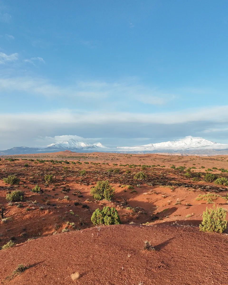 Red desert scattered with juniper, snow-covered peaks along the horizon under a wide blue sky