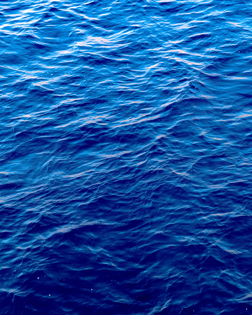 Deep blue open water, its surface rippled by wind and catching the light