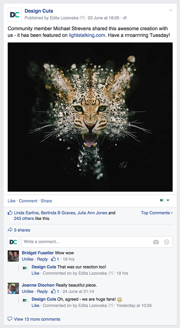 Design Cuts Facebook page