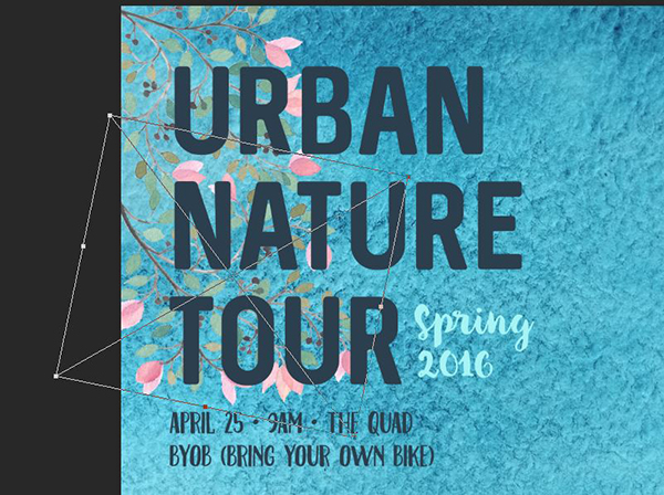 Nature Tour Poster