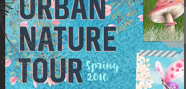 Nature Tour Poster