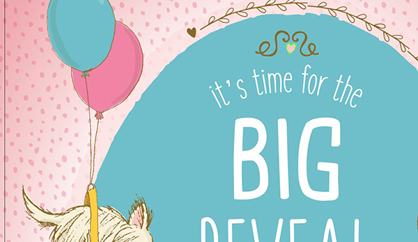 Baby Reveal Postcard