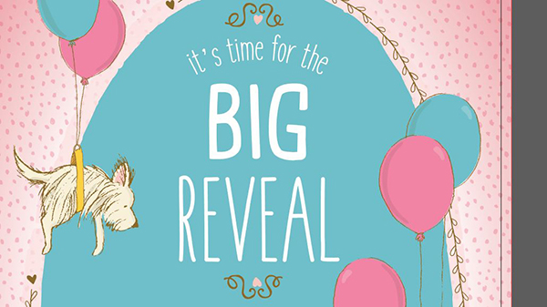 Baby Reveal Postcard