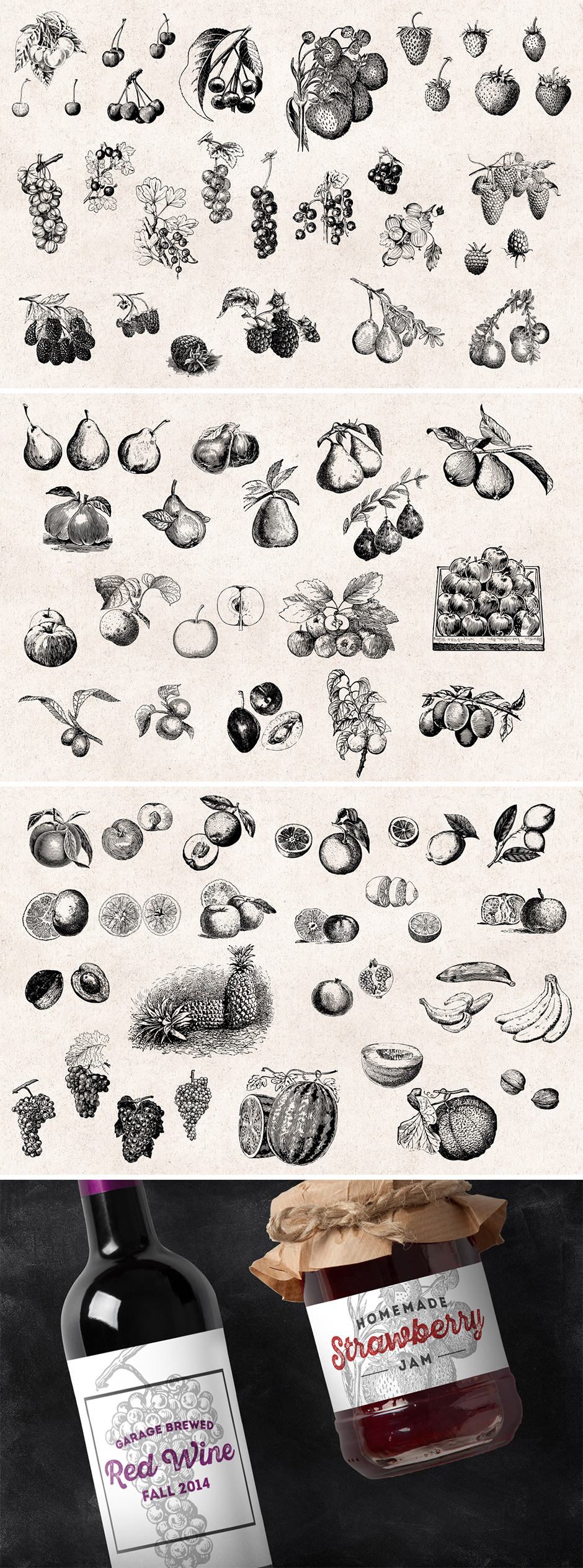 84 Fruits Vintage Engravings