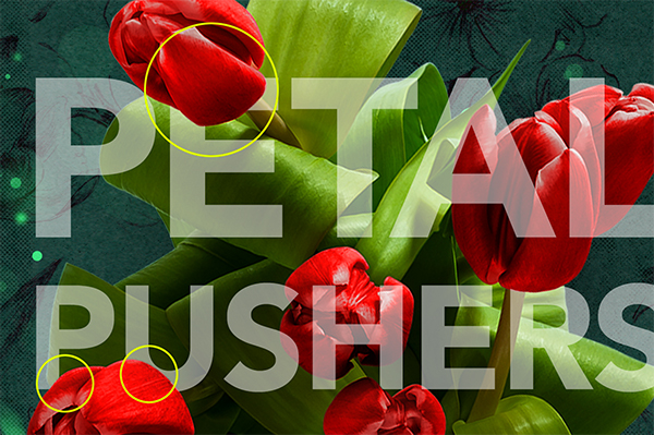 Petal Pushers Flower Shop