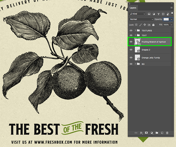 Freshbox Packaging Design