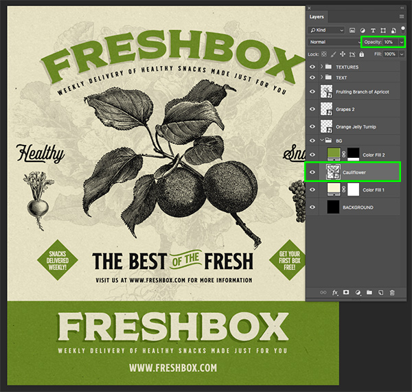 Freshbox Packaging Design