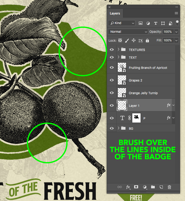 Freshbox Packaging Design