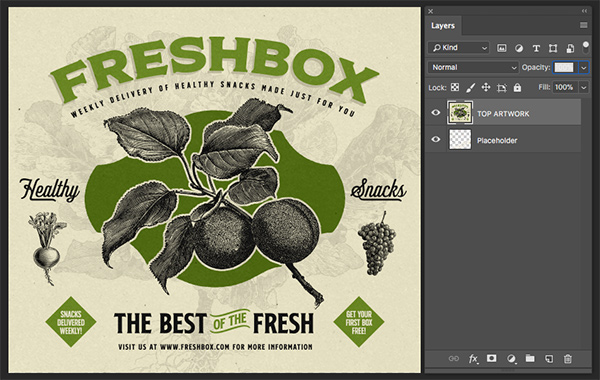 Freshbox Packaging Design