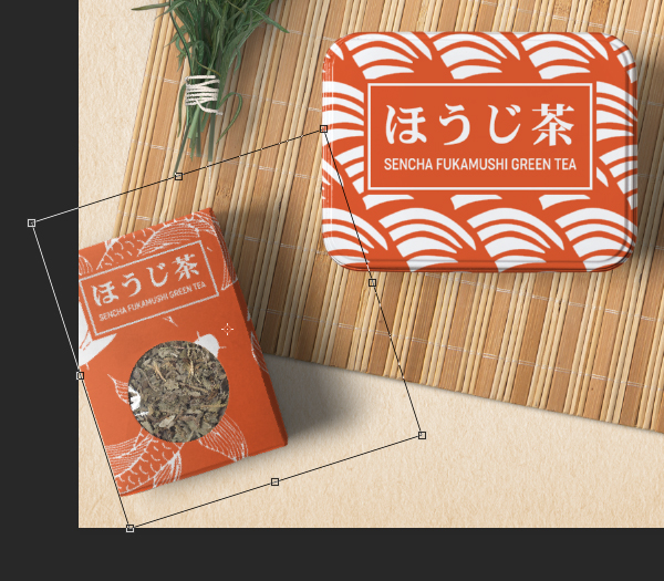 Japanese Tea Packaging Design