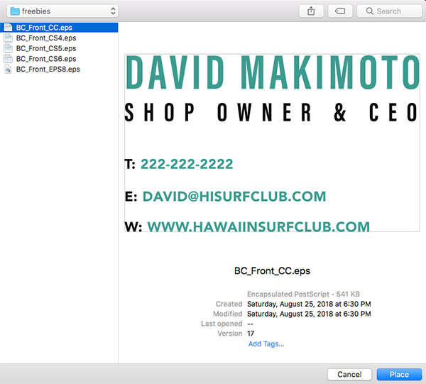 Hawaiian Surf Club Brand Design