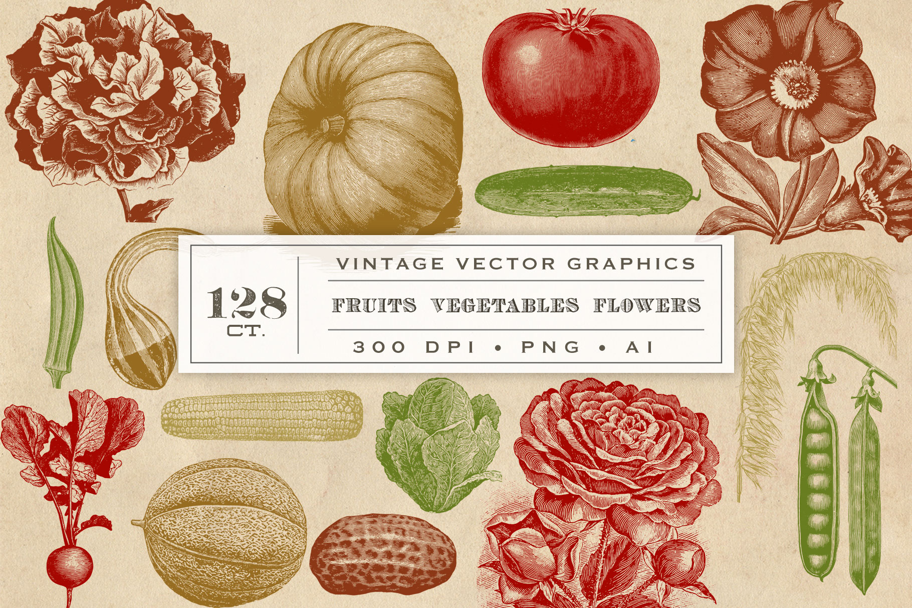 Vintage Vector Fruit Vegetables & Flowers