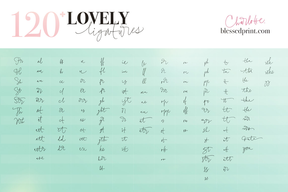 Charlotte Script Elegant Script with 120 Ligatures