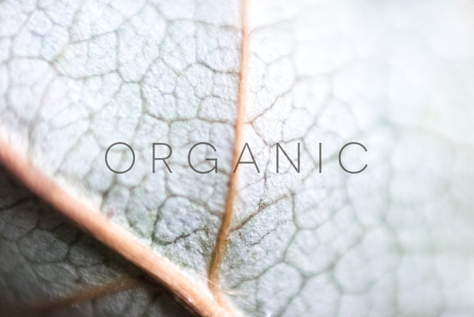 Organic Photo Pack