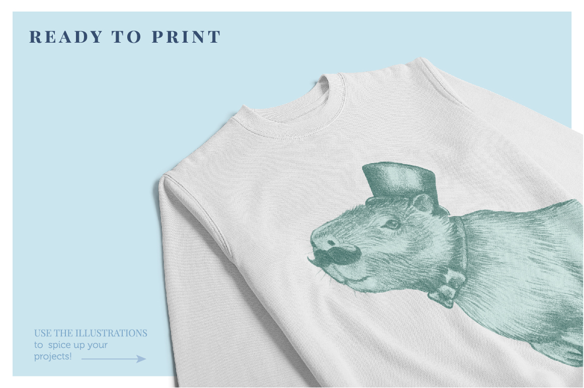 Capybara - Illustration and Pattern Bundle