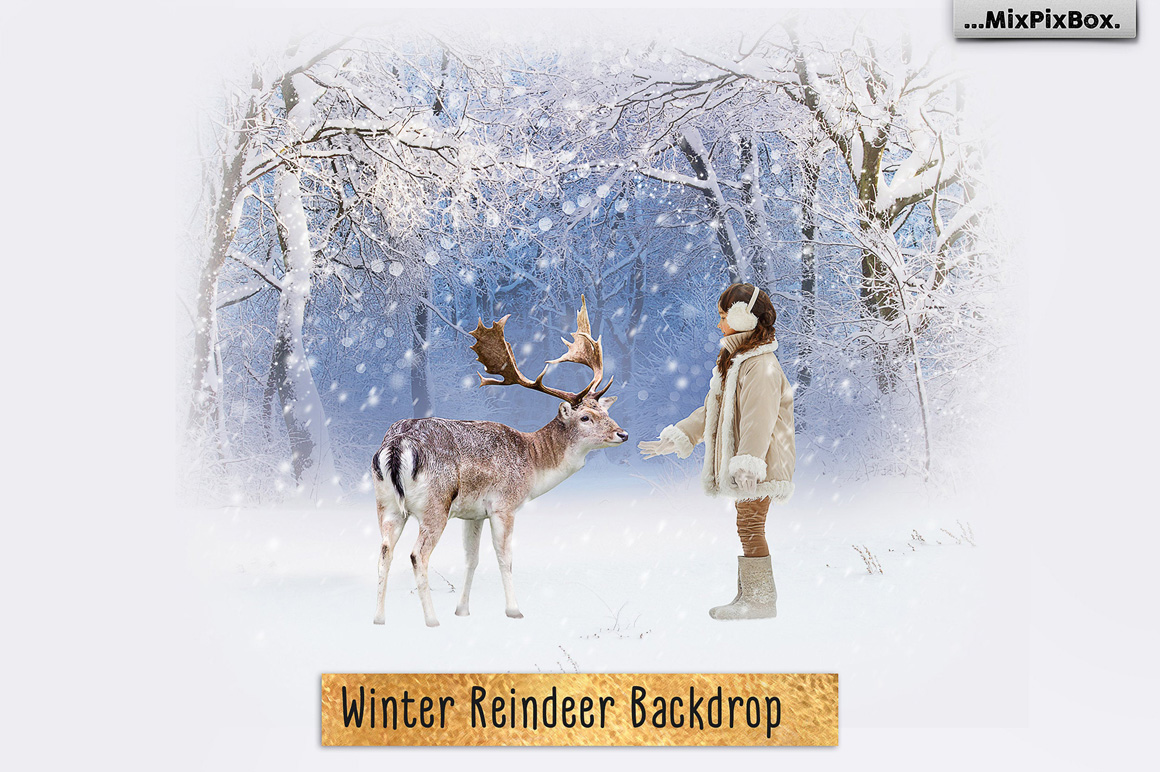Winter Reindeer Backdrop