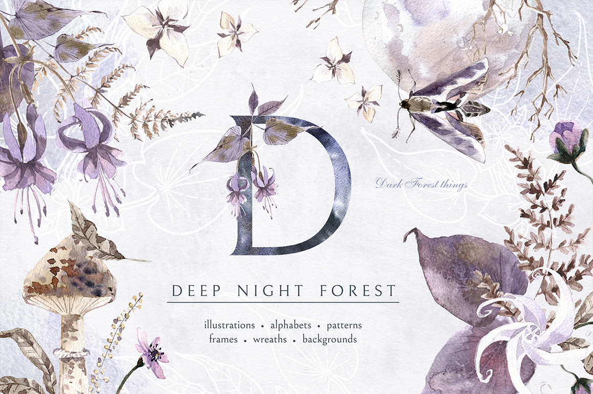 Deep Night Forest