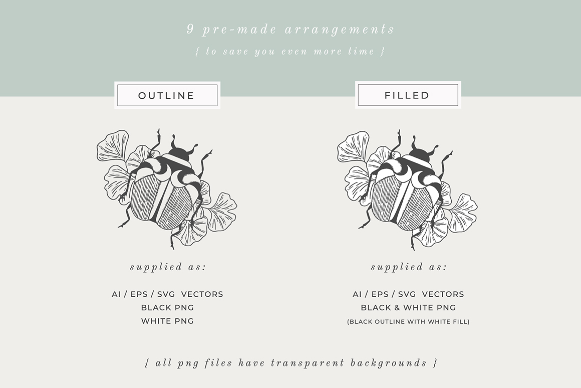 Beetles, Bugs & Butterflies Vector Illustrations