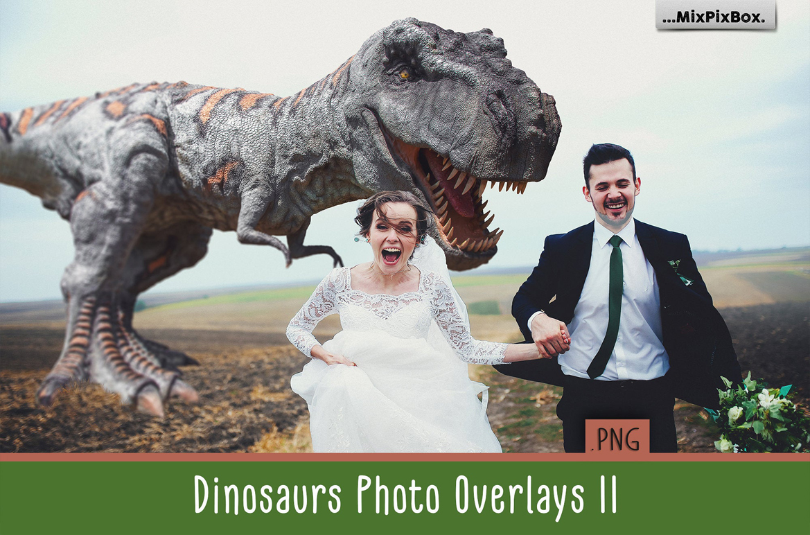 1000+ Photo Overlays for Amazing Photo Effects