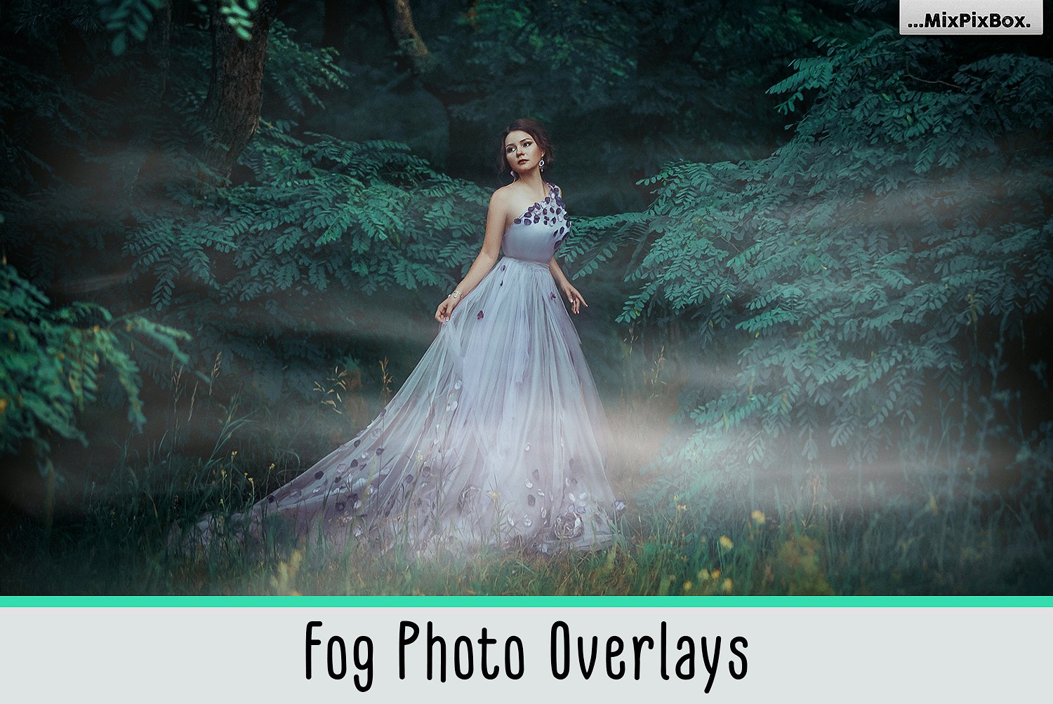 1000+ Photo Overlays for Amazing Photo Effects