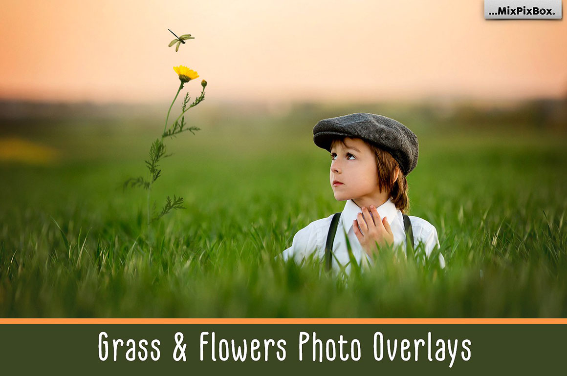 1000+ Photo Overlays for Amazing Photo Effects