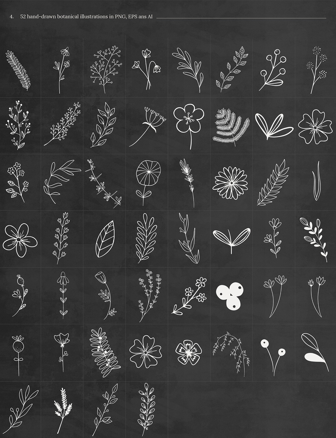 50+ Botanical Illustrations