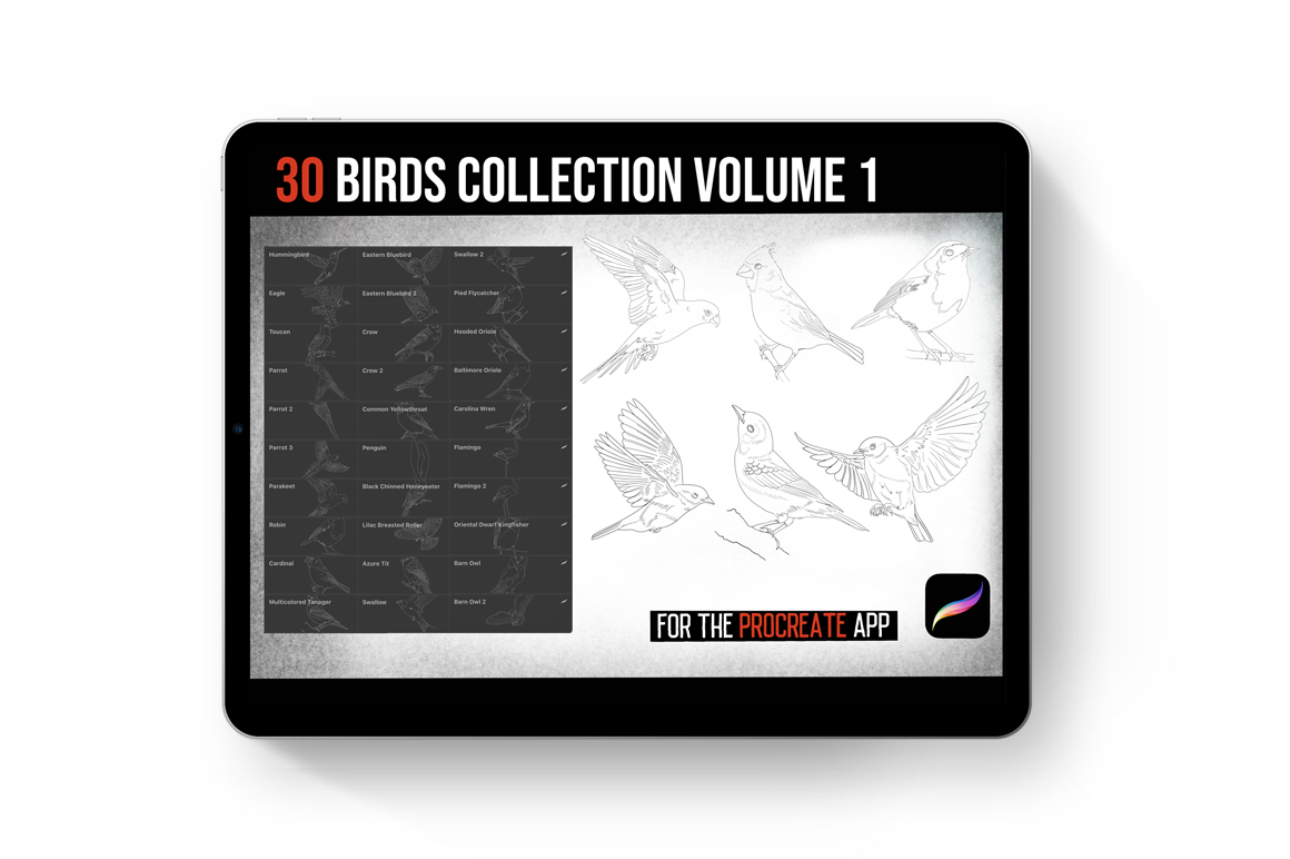 Procreate Birds Volume 1 Templates