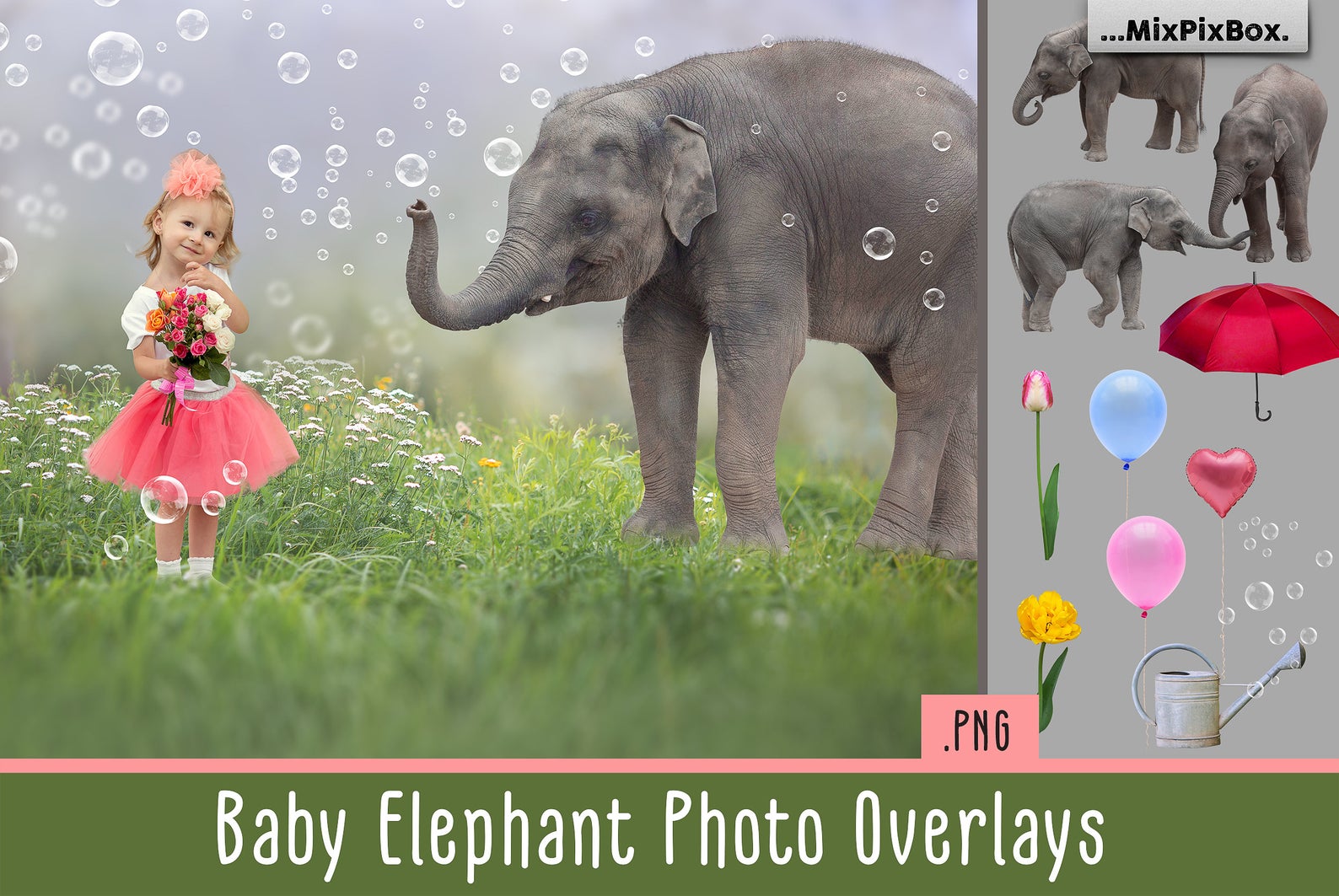 Baby Elephant Overlays
