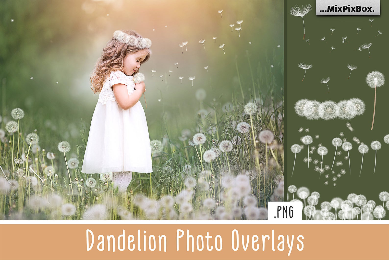 Dandelion Overlays