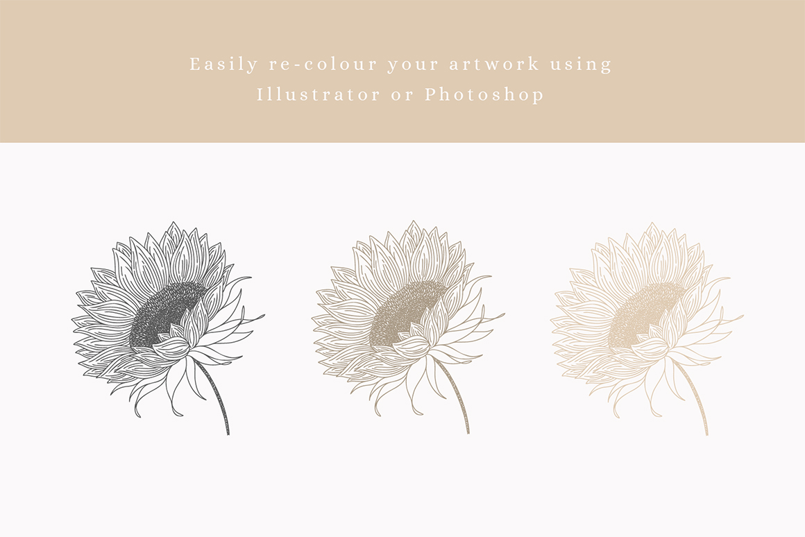 Summer Sunflowers Floral Vector Illustrations