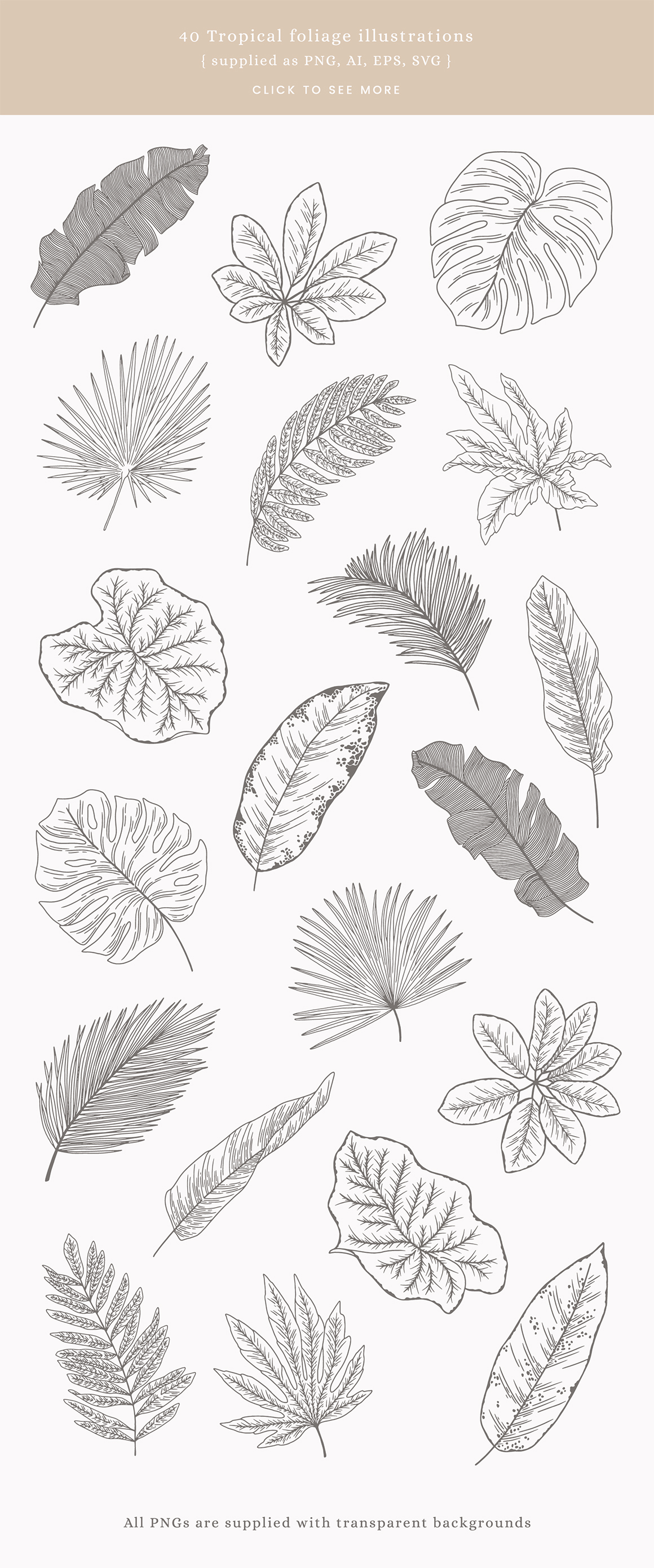 Tropical Leaves Vector Illustrations