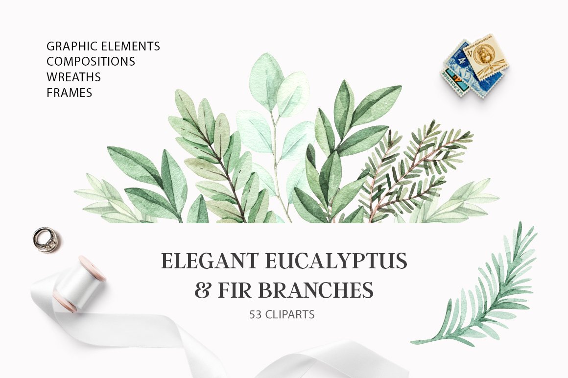Elegant Eucalyptus & Fir Branches