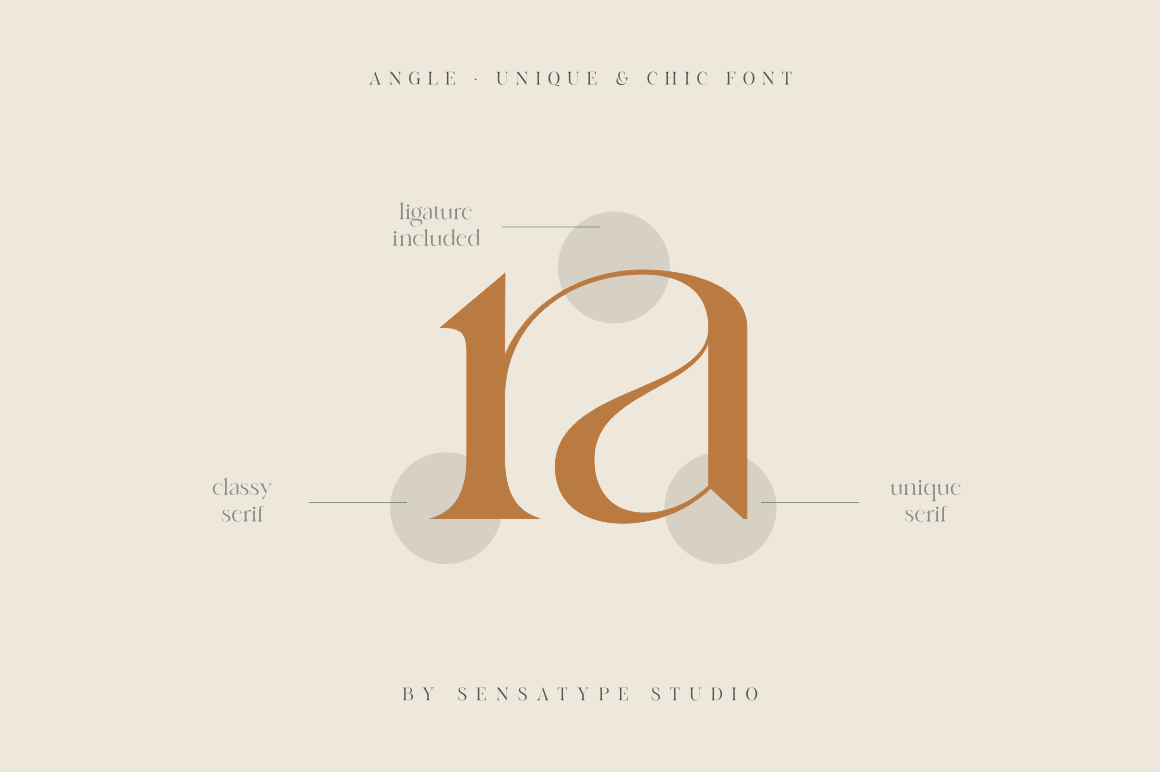 Angle - Unique & Chic Font